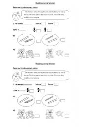 English Worksheet: Reading comprehension