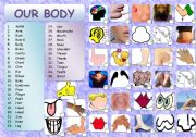 English Worksheet: BODY: OUR BODY