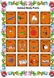 English Worksheet: Animal Body Parts