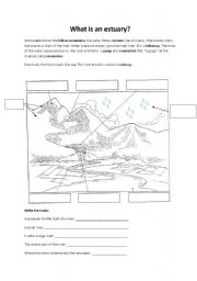 English Worksheet: What is an estuary?  