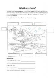 English worksheet: What is an estuary?  