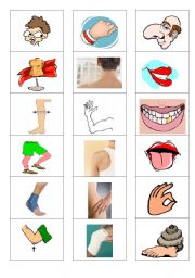parts of the body memory game