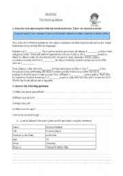 English Worksheet: 2010 Football Wold Cup