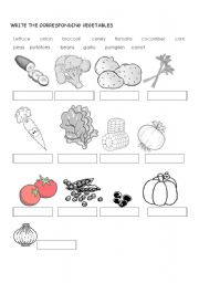 English Worksheet: VEGETABLES