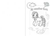 English Worksheet: My weather book