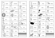 English Worksheet: Pictionary with simple words