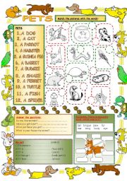 English Worksheet: Elementary Vocabulary Series4 - Pets