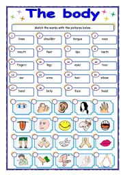 English Worksheet: Parts of the body - matching