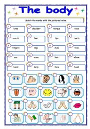 Parts of the body - matching