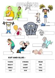 English Worksheet: OPPOSITES