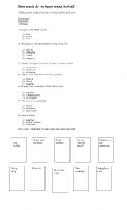 English Worksheet: football quiz