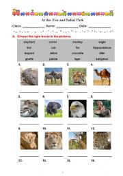 English Worksheet: At the Zoo and Safari Park