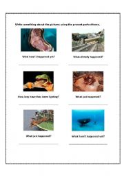 English Worksheet: Present Perfect - Describe pictures