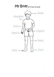 English worksheet: Body part