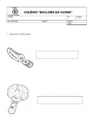 English Worksheet: fruits and vegetables exam