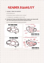 English Worksheet: man and woman brain