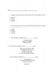 English worksheet: Types of Poetry Quiz