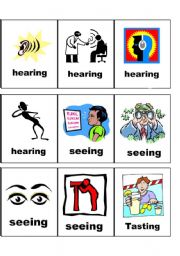 English Worksheet: flashcards - senses