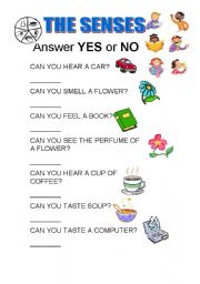 answer yes or no esl worksheet by rocio724