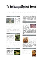 English Worksheet: The most endangered species reading-environmental problems