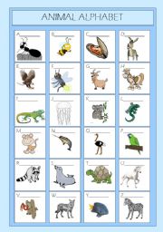 Animal Alphabet