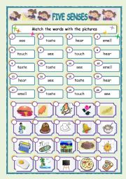 English Worksheet: FIVE SENSES 