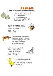 Answer about the animals