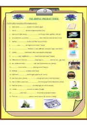 English Worksheet: The Simple Present