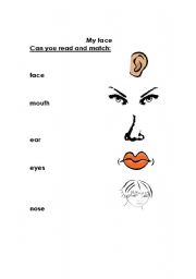 English worksheet: my face