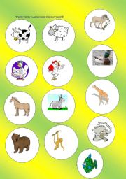 English worksheet: animals