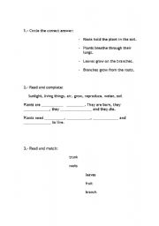 English Worksheet: science - plants