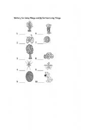 English worksheet: Living Things and Non-Living Things