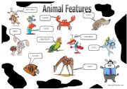 Animal Features (1/2): Picture Dictionary