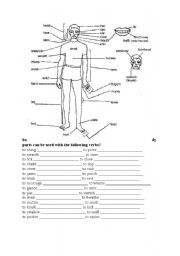English Worksheet: body parts