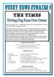 English Worksheet: Funny News 5: Dog Drives Over Owner!