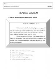 English worksheet: reading and writing activities