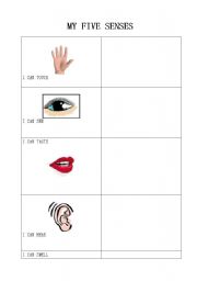 English Worksheet: My five senses