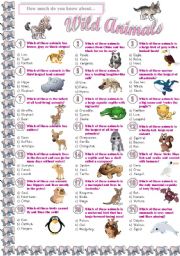 English Worksheet: Wild Animals - Quiz