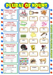 English Worksheet: Plural of Nouns