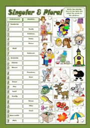 English Worksheet: SINGULAR & PLURAL