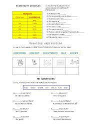 English Worksheet: possessive pronouns and wh quetions