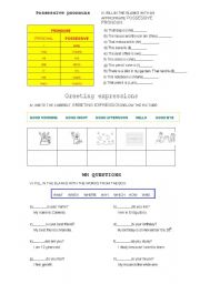 possessive pronouns and wh quetions