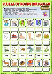 English Worksheet: Plural of Nouns Irregular Pictionary