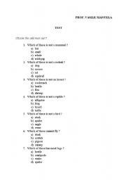 English Worksheet: Test - animals