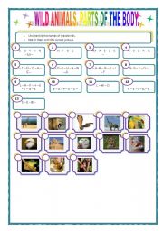 English Worksheet: Wild animals & Body Parts