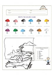 English Worksheet: Colors