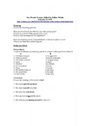 English Worksheet: Video Worksheet: Sea World Trainer Killed by Killer Whale