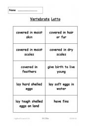 English worksheet: vertabrates