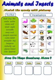 English Worksheet: Animals and Insects ( 2 activities)