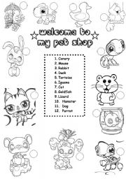 English Worksheet: ANIMALS: WELCOME TO MY PET SHOP